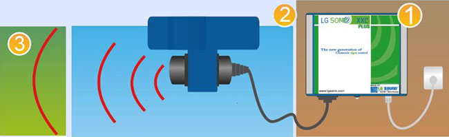 Ultrasonic algae and biofilm control