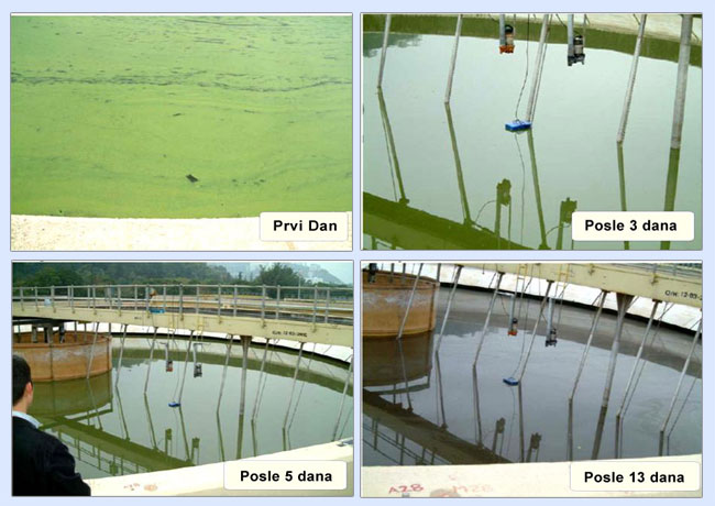 područja primene ultrazvuka za kontrolu algi i biofilma