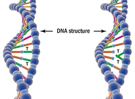 Dezinfekcija vode - Promena dnk strukture patogenih mikroorganizama