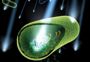 UV dezinfekcija vode - Mehanizam